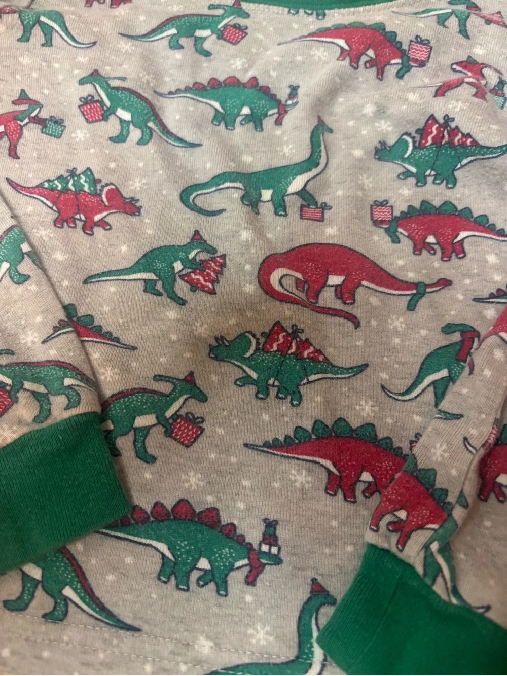 The Children's Place Grey Pajama Set with Green & Red Dinosaur Print